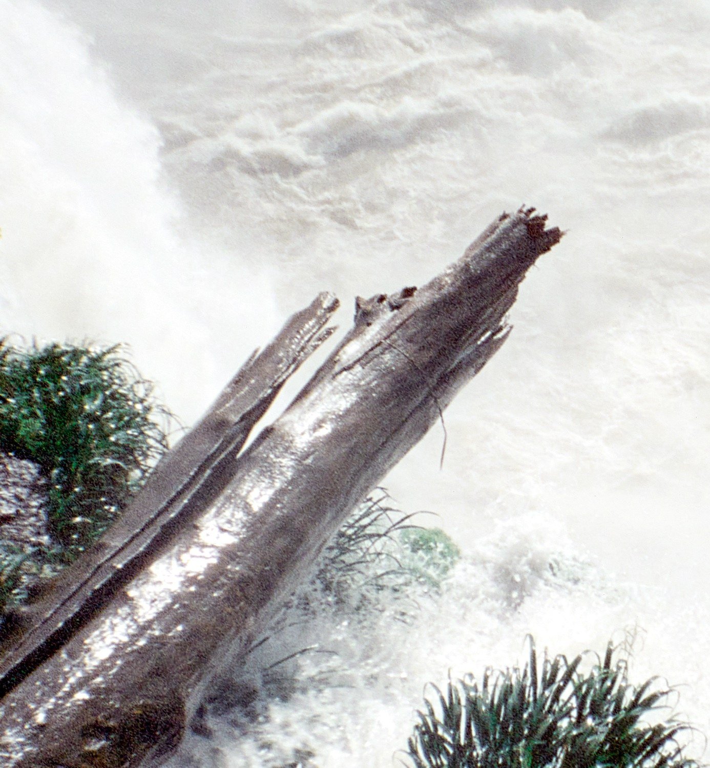 Agua Grande #07 — detalle 2