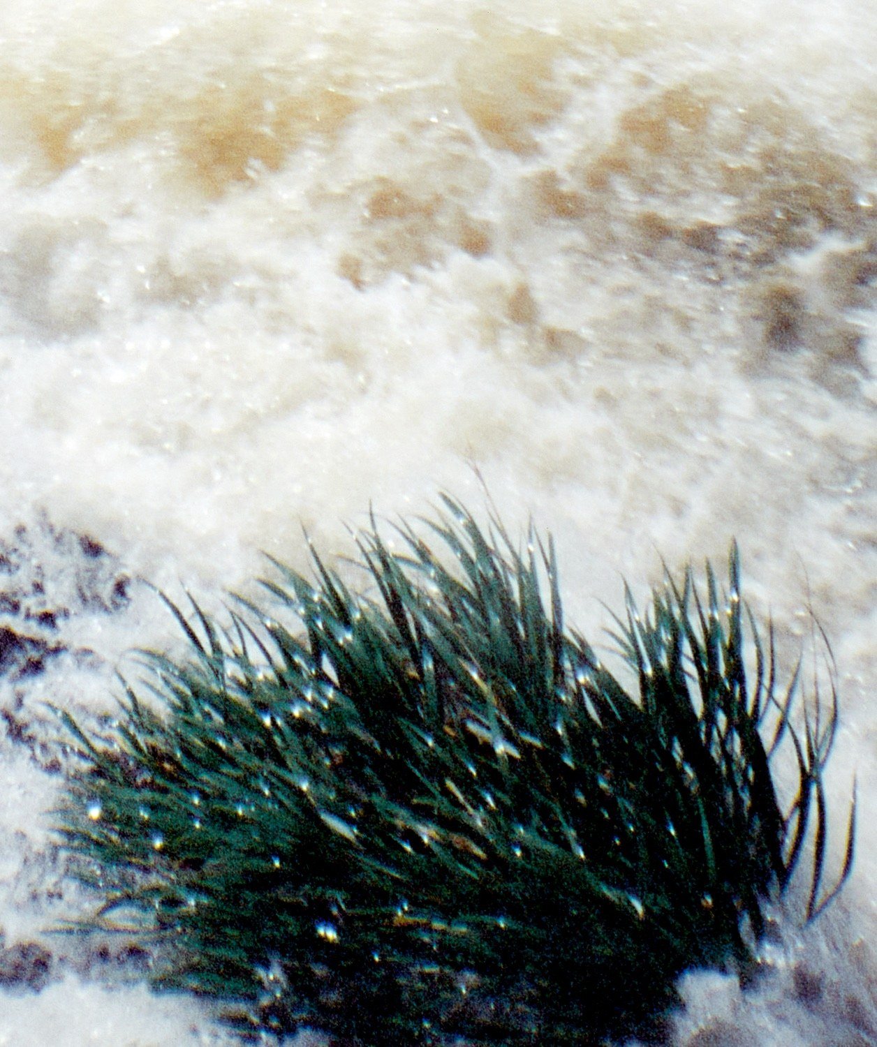 Agua Grande #08 — detalle 1