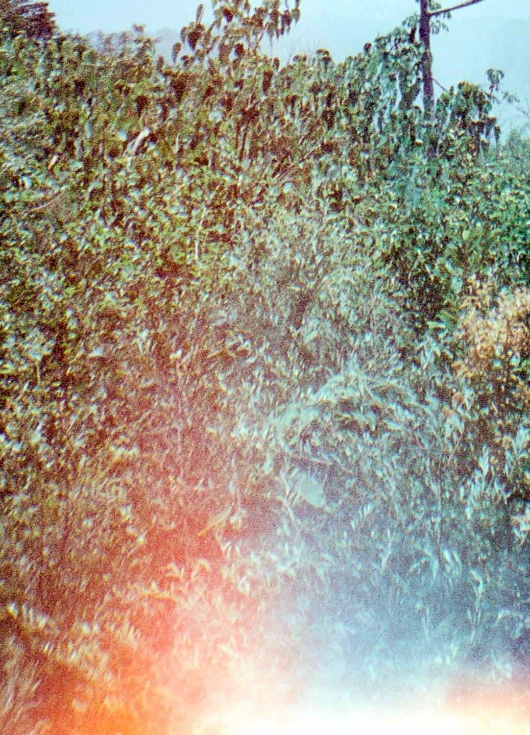 Agua Grande #17 — detalle 1