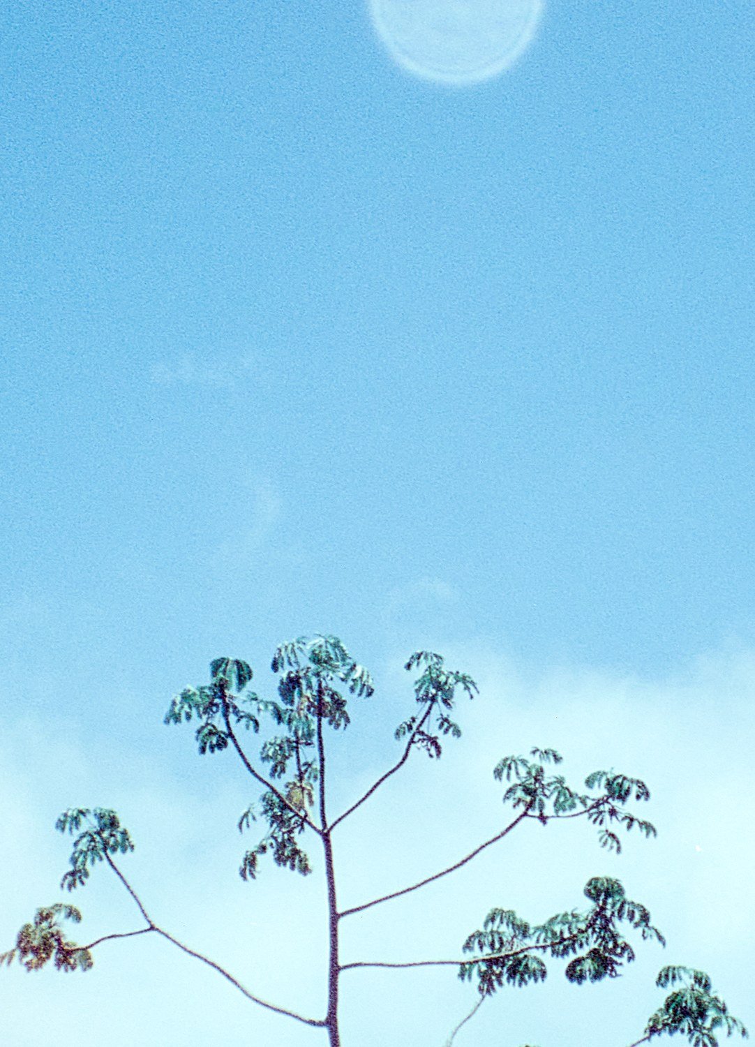Agua Grande #17 — detalle 2