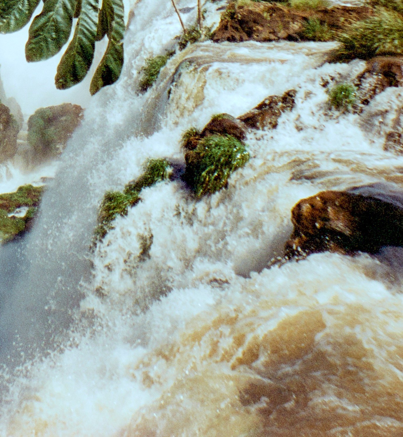 Agua Grande #22 — detalle 2