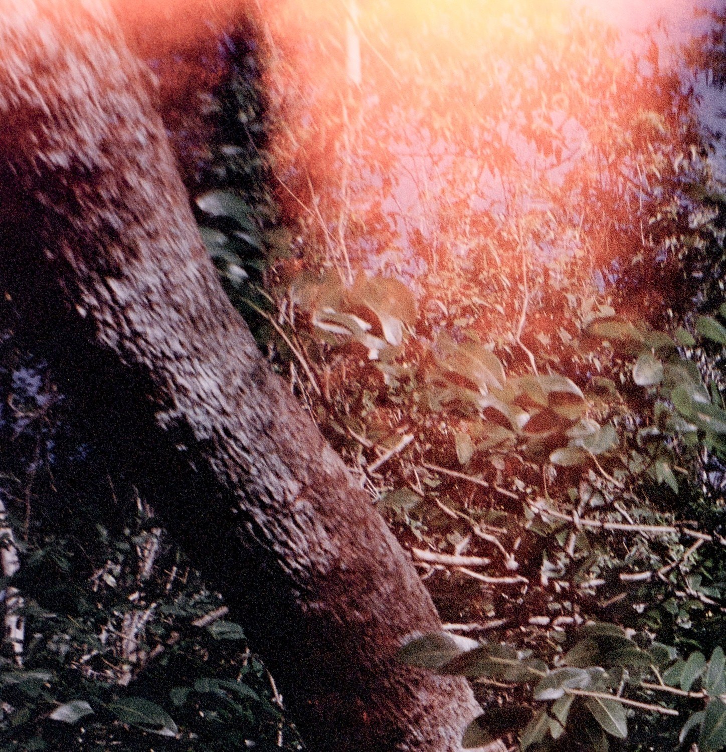 Agua Grande #24 — detalle 1