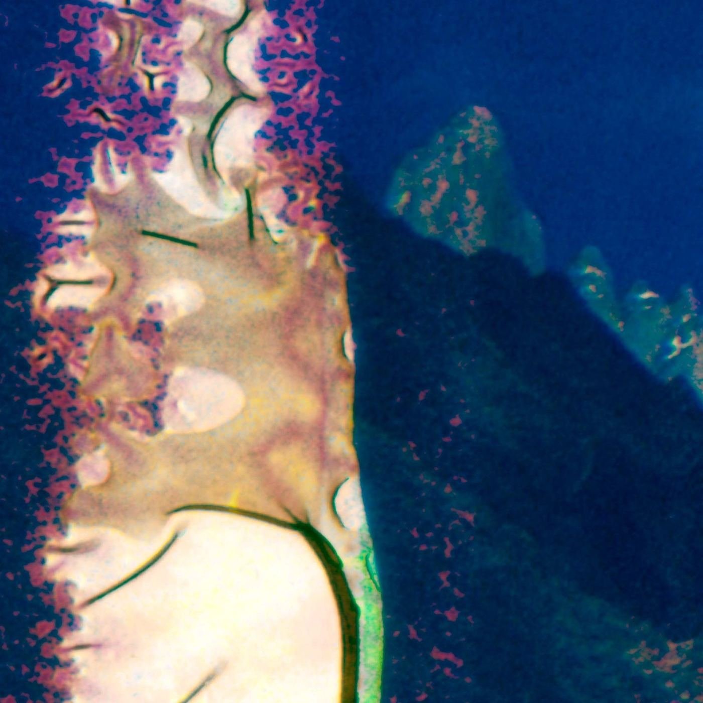 Fitz #07 — detalle