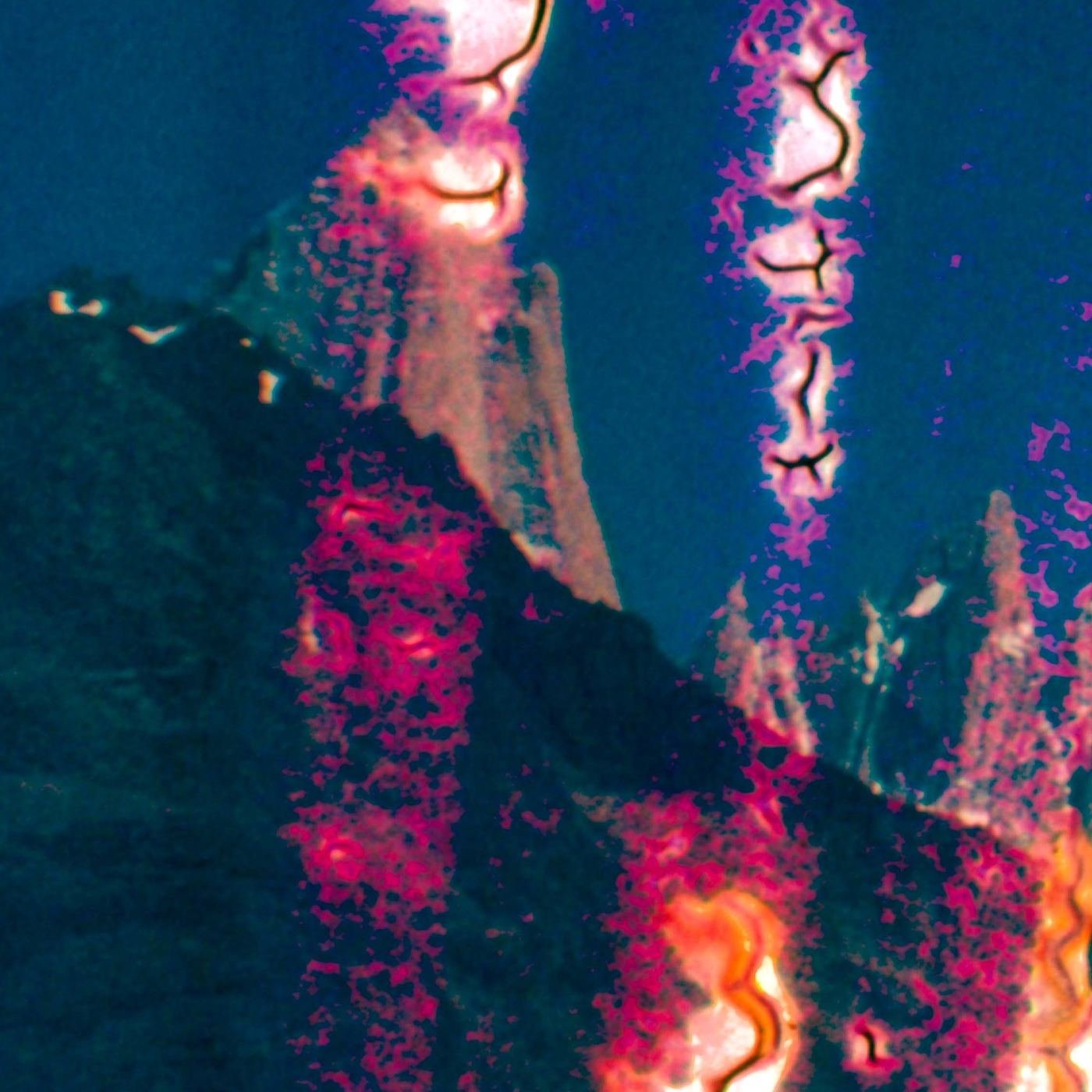 Fitz #09 — detalle