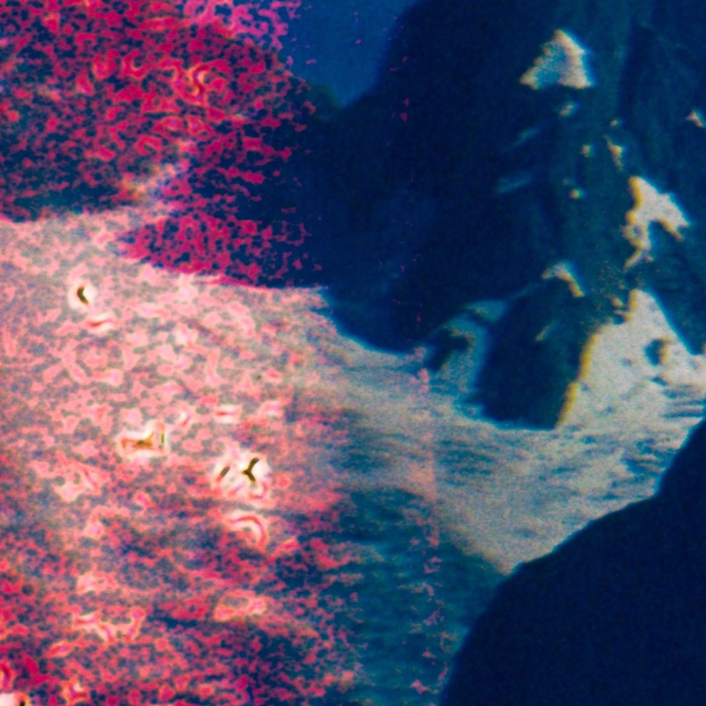 Fitz #10 — detalle