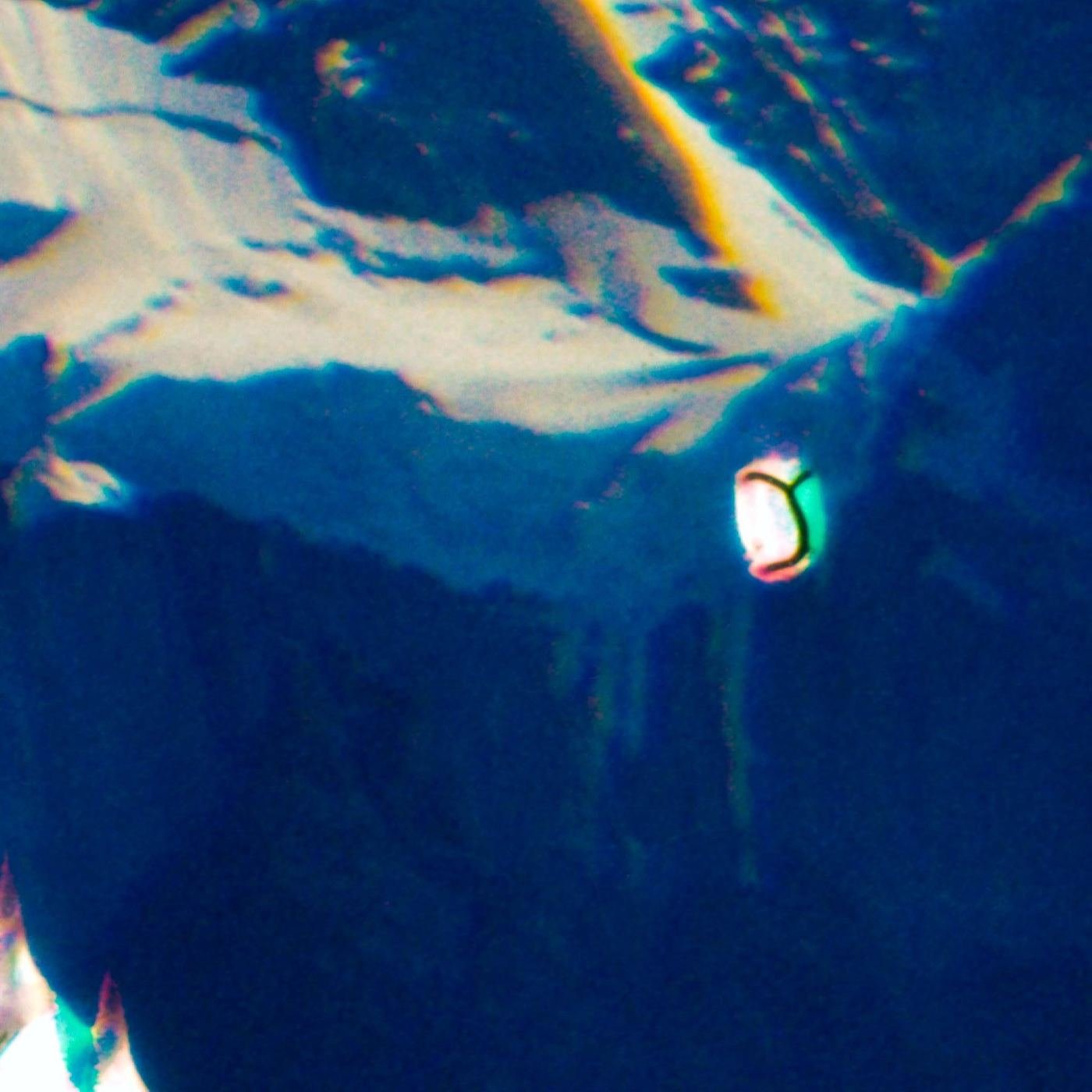 Fitz #12 — detalle