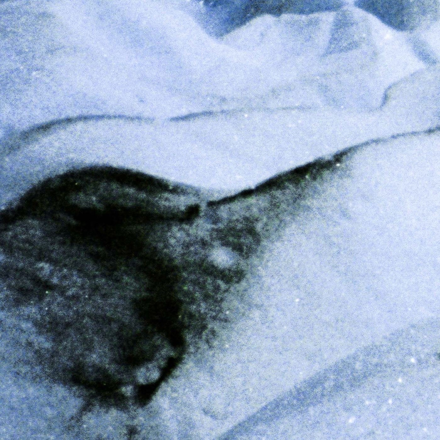 Glaciar Perito #05 — detalle